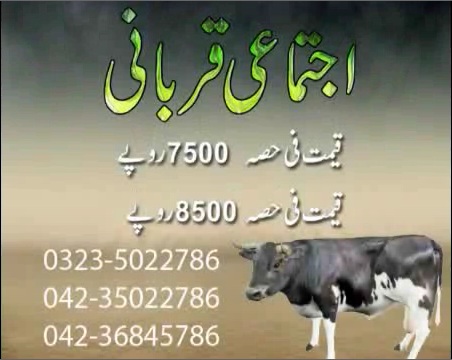 Ijtima-e-Qurbani Ad 2013